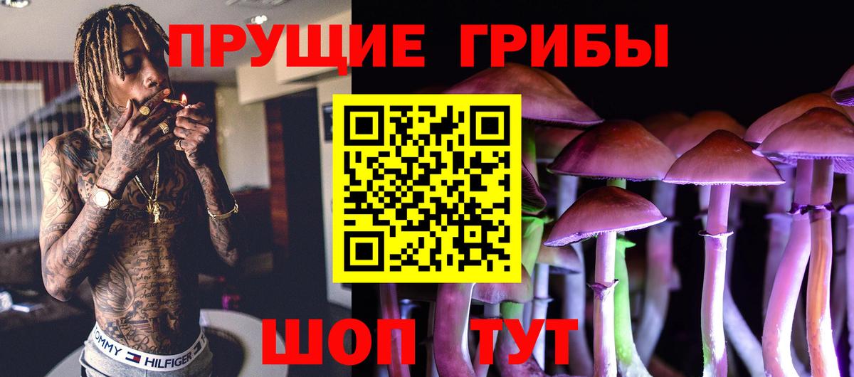 Псилоцибиновые грибы ЛСД  Вход с VPN  Тихорецк 