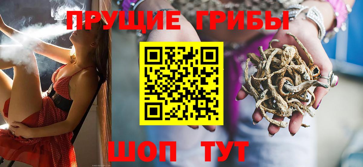 Галлюциногенные грибы Psilocybe Тихорецк